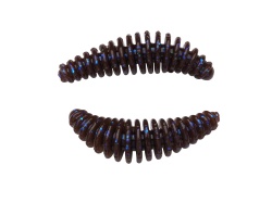 LARVA BERKLEY POWERBAIT POWER PUPA 45MM TROUT PELLET