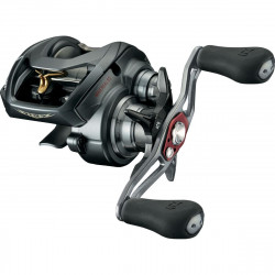 MULINETA CASTING DAIWA STEEZ A TW 1016SHL