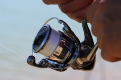MULINETA DAIWA EXIST LT2000D-P