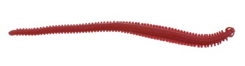 RAMA DE MARE BERKLEY GULP ALIVE SANDWORM 15CM CAMO 14 - Img 2