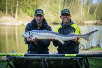 RUBEZIANA MATRIX TORQUE CARP POWER 10.00 M – PACHET COMPLET - Img 12