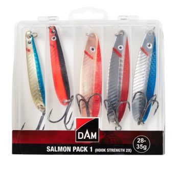 SET LINGURITE OSCILANTE DAM SALMON PACK 1 INC. BOX 28-35G