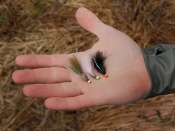 SET MUSTE ARTIFICIALE DELPHIN FLY / 10BUC WILD TROUT - Img 7