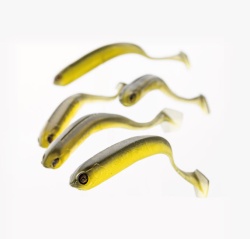 SHAD ADUSTA PENTA SHAD 5 12.7CM 100 GREEN CHART GLITTER ORANGE 4BUC/PLIC