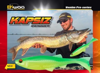 SHAD BIWAA KAPSIZ 4 10CM 206 GOLDEN SHINER 5BUC/PLIC - Img 2