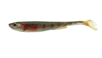SHAD DAIWA PROREX REAL SLIM LIVE 7,5CM/GOLD PERCH/4BUC/PL