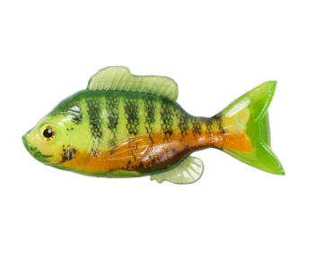 SHAD LIVE TARGET SUNFISH UNRIGGED 11CM CHART/ORANGE 2BUC/PL