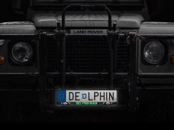 SUPORT NUMAR AUTO 3D DELPHIN GO FISHING / 2buc