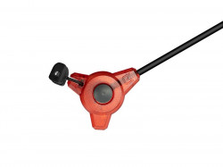 SWINGER DELPHIN TRYO ROSU
