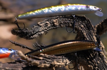 VOBLER DAIWA TOURNAMENT MINNOW 95SP 9,5CM/9,5G GOLD LENSE - Img 2