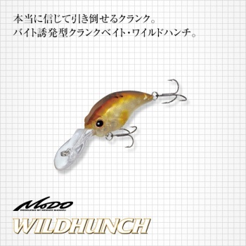VOBLER EVERGREEN WILDHUNCH 5.2cm 9.6gr #67 FLASH CHART - Img 2