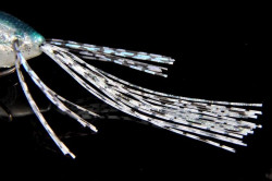 VOBLER JACKALL GAVACHO FROG 6.9CM 16G CSG