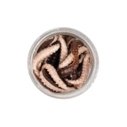 WORM BERKLEY POWERBAIT POWER HONEY WORM GREY PEARL