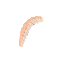 WORM BERKLEY POWERBAIT POWER HONEY WORM ORANGE PEARL