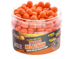 BOILIES SELECT BAITS POP-UP MICRO THAI SPICE BELACHAN 8MM