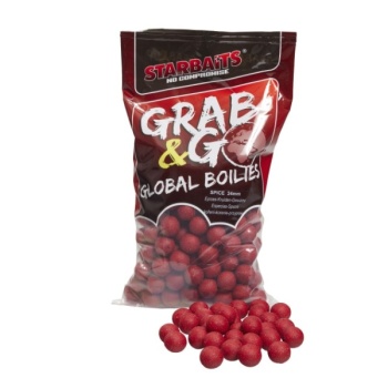 BOILIES STARBAITS G&G SPICE 24MM/2,5KG