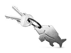 BRELOC CU DESCHIZATOR DE STICLE DELPHIN CARPENER