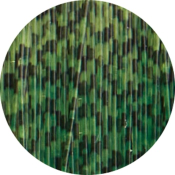 FIR MONOFILAMENT JAXON FEEDER FANATICS 3D 150m 0.25mm 13kg - Img 2