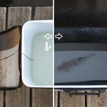 GEANTA IMPERMEBILA VAGNER 50L PENTRU MOMEALA VIE BAITBAG - Img 4