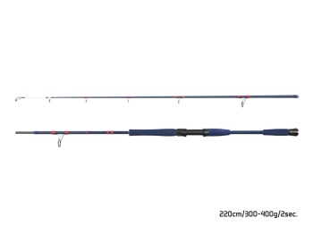 LANSETA DELPHIN FYORD BIGBOAT 200CM 300-400G 2BUC - Img 3