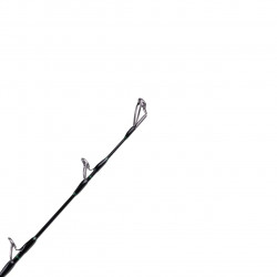 LANSETA ZECK EVO CAT VERTIC 1.90M 180GR