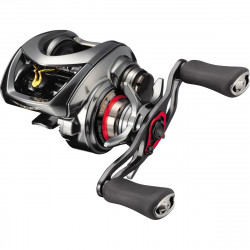 MULINETA CASTING DAIWA STEEZ CT SV TW 700SHL