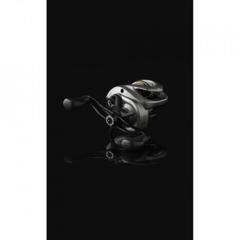 MULINETA CASTING SAVAGE GEAR SG6 BC 250 LH / 8.1:1 - Img 4