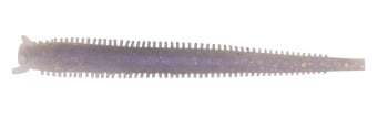 RAC BERKLEY GULP CRABBY 5CM BREEN 10BUC - Img 2