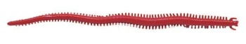 RAMA DE MARE BERKLEY GULP ALIVE SANDWORM 15CM CAMO - Img 2