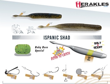 SHAD HERAKLES ISPANIC 4.5 11.4cm Baby Bass Special