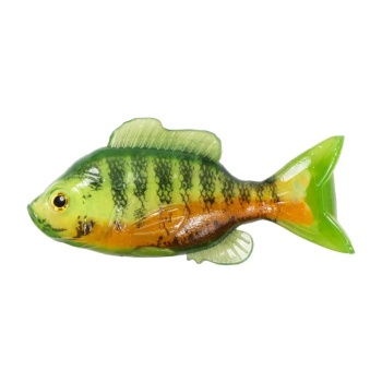 SHAD LIVE TARGET SUNFISH UNRIGGED 9,7CM CHART/ORANGE 3BUC/PL