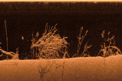 SONDA SONAR GARMIN ULTRA HIGH-DEFINITION SCANNING SONAR SYSTEM