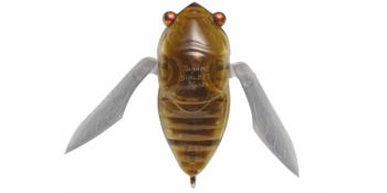 VOBLER MEGABASS SIGLETT 36.5mm 5.25gr FF PHANTOM