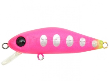 3.8CM 2.4G R44
