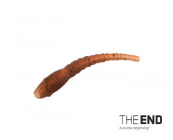 ALIGNER WORMER PENTRU FIR DE PAR THE END / 6BUC G-ROUND