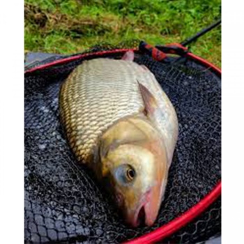 CAP MINCIOG NYTRO QUICK-DRY BIG FISH 50X40CM 8.5MM - Img 2