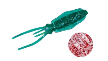 CREATURA MAJOR CRAFT PARAWORM FALL IKA 3.8cm #067 Clear Red Lame Flake
