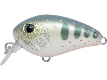 FOP 513 3.2CM 2.5G FLOATING SR