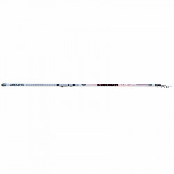LANSETA BOLOGNESA LINEAEFFE TELE.CARBON BOLO 6.00M / 5G