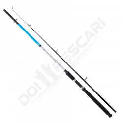 LANSETA SERT AKA FITBOAT 2.10M 100-200GR