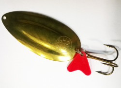 LINGURITA OSCILANTA ARROW GALBENA COCOSATA 13G MARE