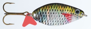 LINGURITA OSCILANTA JAXON HS ALGA SCOT 3D 32GR
