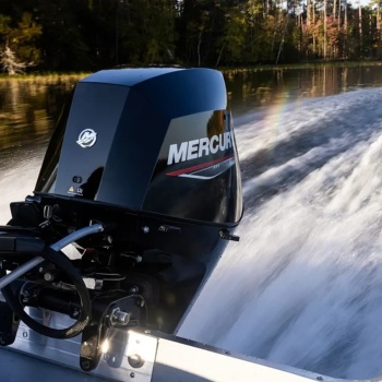 MOTOR BARCA MERCURY 30 CP EFI FOURSTROKE F30 ELHPT EFI - Img 12