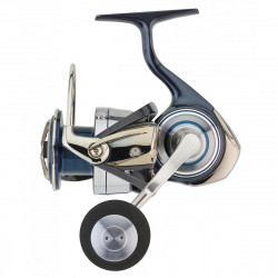 MULINETA DAIWA CERTATE G 21 SW 6000 H