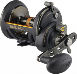 MULTIPLICATOR PENN SQUALL II SQLII25NLD