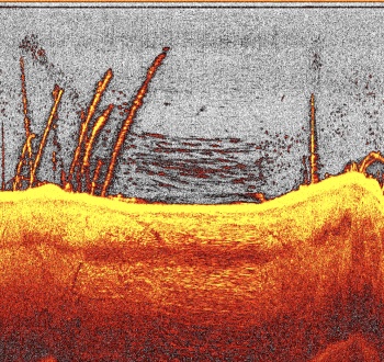 NAVOMODEL / BARCUTA PLANTAT DEEPER QUEST CU DOWNSCAN - Img 5