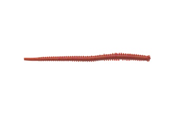 RAMA DE MARE BERKLEY GULP! 10CM FUTOMI-AKAISOME 12BUC/PLIC