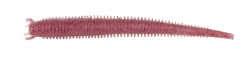 RAMA DE MARE BERKLEY GULP SW FAT SANDWORM 10CM CLEAR RED FLECK 10BUC