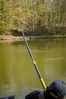 RUBEZIANA MATRIX TORQUE CARP X POWER 11.50 M – PACHET - Img 12