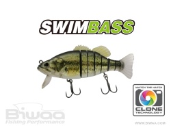 SWIMBASS 6 SLOW SINK 15CM 65GR 01 REAL BASS